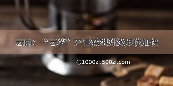 云南：“云薯”产业转型升级步伐加快