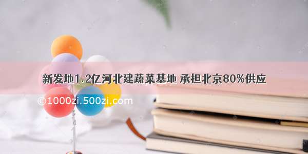 新发地1.2亿河北建蔬菜基地 承担北京80%供应