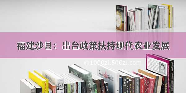 福建沙县：出台政策扶持现代农业发展