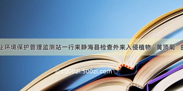 天津市农业环境保护管理监测站一行来静海县检查外来入侵植物“黄顶菊”的防控工作