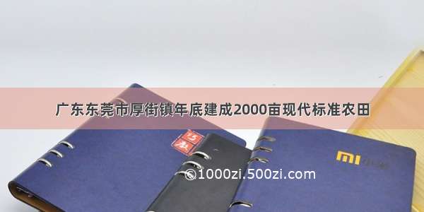 广东东莞市厚街镇年底建成2000亩现代标准农田