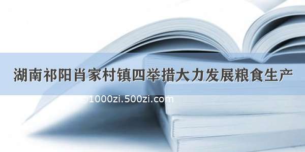 湖南祁阳肖家村镇四举措大力发展粮食生产