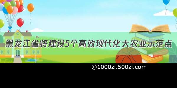 黑龙江省将建设5个高效现代化大农业示范点