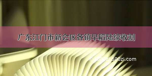 广东江门市新会区各镇早稻陆续收割