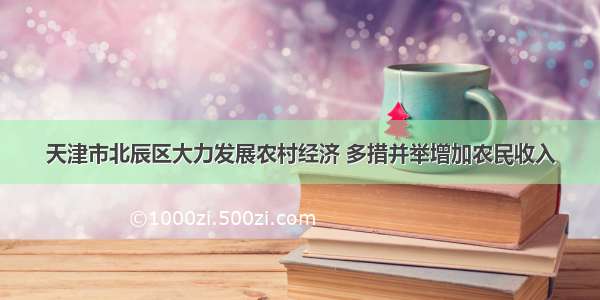 天津市北辰区大力发展农村经济 多措并举增加农民收入