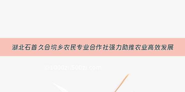 湖北石首久合垸乡农民专业合作社强力助推农业高效发展