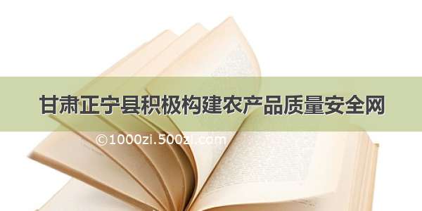 甘肃正宁县积极构建农产品质量安全网