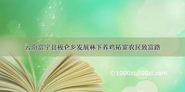 云南富宁县板仑乡发展林下养鸡拓宽农民致富路