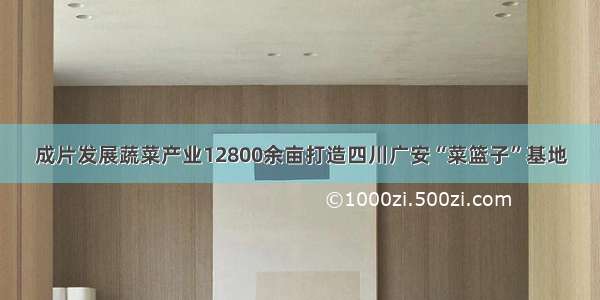 成片发展蔬菜产业12800余亩打造四川广安“菜篮子”基地