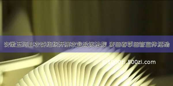 安徽五河县农委组织开展农业政策法规 麦田春季田管宣传活动