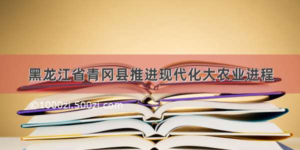 黑龙江省青冈县推进现代化大农业进程