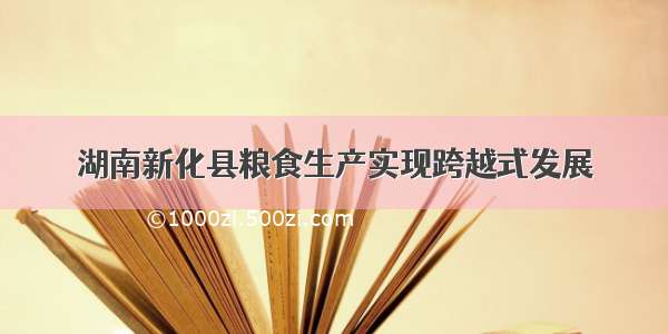 湖南新化县粮食生产实现跨越式发展