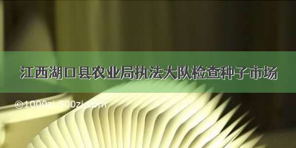 江西湖口县农业局执法大队检查种子市场