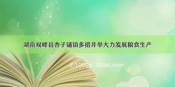 湖南双峰县杏子铺镇多措并举大力发展粮食生产