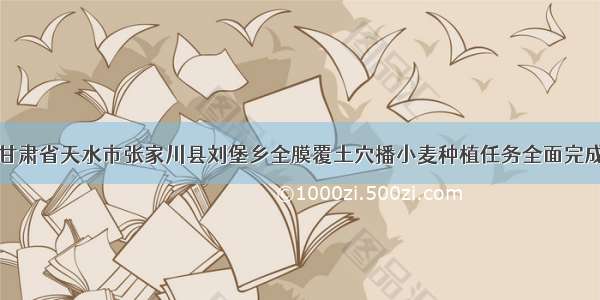 甘肃省天水市张家川县刘堡乡全膜覆土穴播小麦种植任务全面完成