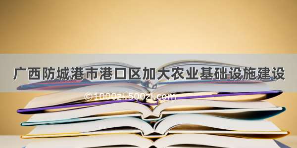 广西防城港市港口区加大农业基础设施建设