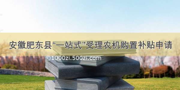 安徽肥东县“一站式”受理农机购置补贴申请