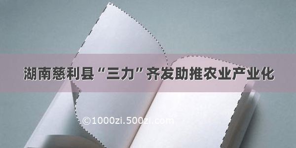 湖南慈利县“三力”齐发助推农业产业化