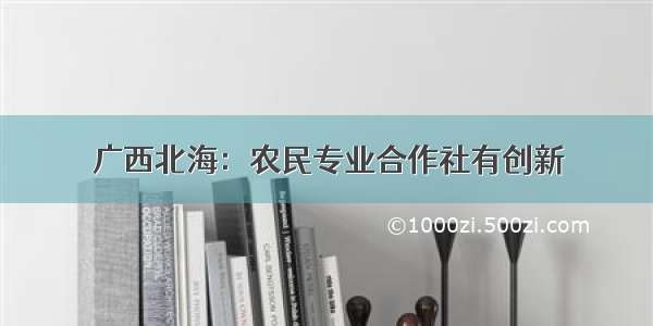 广西北海：农民专业合作社有创新