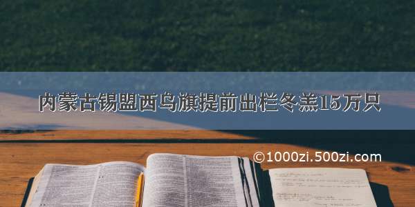 内蒙古锡盟西乌旗提前出栏冬羔15万只