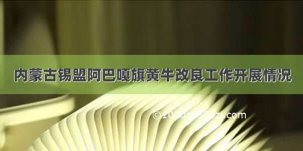 内蒙古锡盟阿巴嘎旗黄牛改良工作开展情况