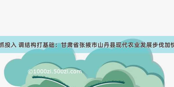 抓投入 调结构打基础：甘肃省张掖市山丹县现代农业发展步伐加快