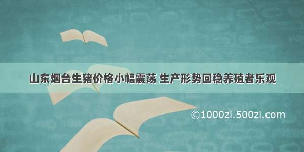 山东烟台生猪价格小幅震荡 生产形势回稳养殖者乐观