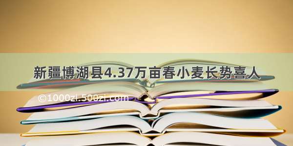 新疆博湖县4.37万亩春小麦长势喜人