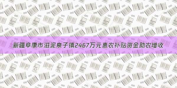 新疆阜康市滋泥泉子镇2467万元惠农补贴资金助农增收