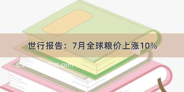 世行报告：7月全球粮价上涨10%