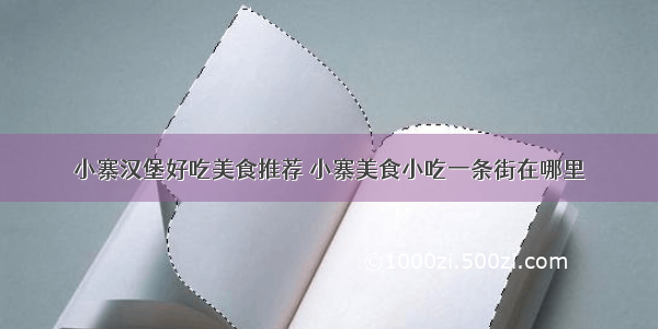 小寨汉堡好吃美食推荐 小寨美食小吃一条街在哪里