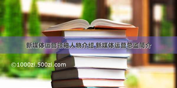 新媒体运营领袖人物介绍 新媒体运营总监简介