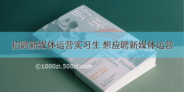 招聘新媒体运营实习生 想应聘新媒体运营