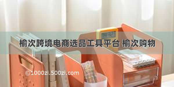 榆次跨境电商选品工具平台 榆次购物