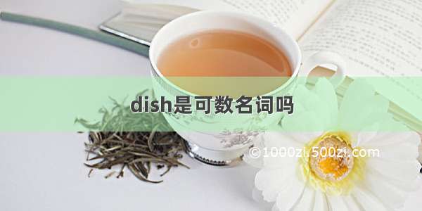 dish是可数名词吗