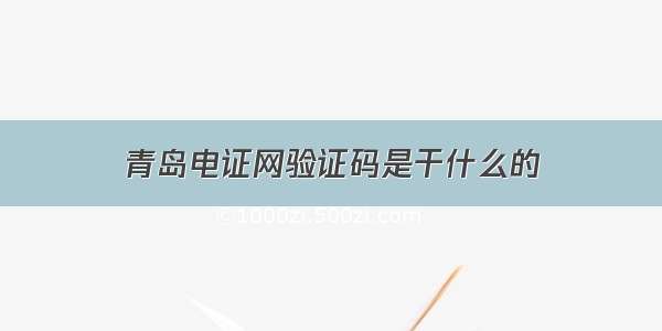 青岛电证网验证码是干什么的