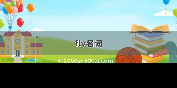 fly名词