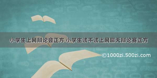 小学生上网辩论会正方 小学生该不该上网聊天辩论赛正方