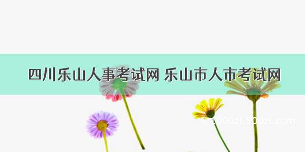 四川乐山人事考试网 乐山市人市考试网