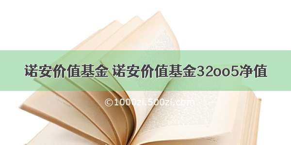 诺安价值基金 诺安价值基金32oo5净值