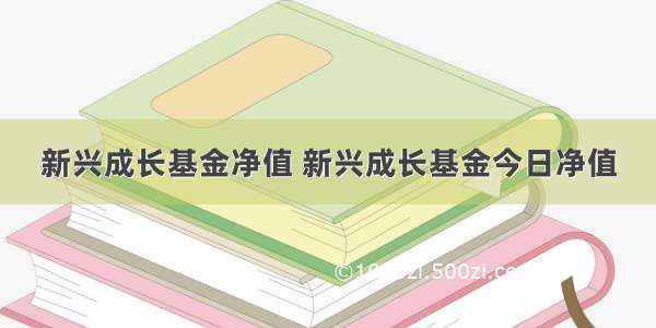 新兴成长基金净值 新兴成长基金今日净值