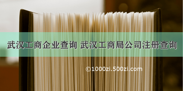 武汉工商企业查询 武汉工商局公司注册查询