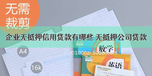 企业无抵押信用贷款有哪些 无抵押公司贷款