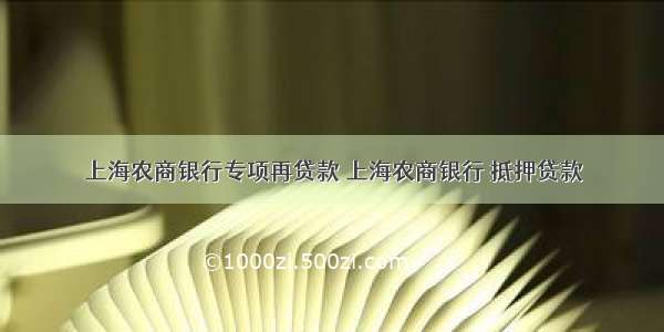 上海农商银行专项再贷款 上海农商银行 抵押贷款