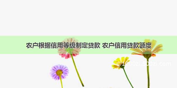 农户根据信用等级制定贷款 农户信用贷款额度