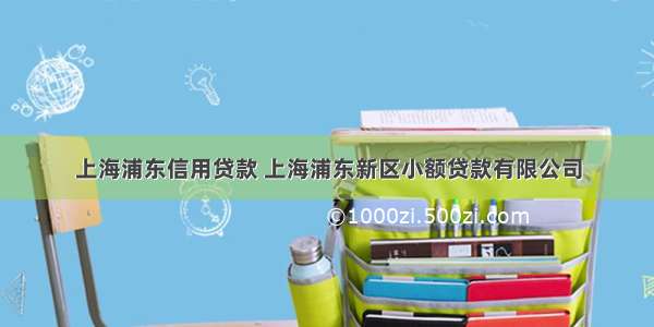 上海浦东信用贷款 上海浦东新区小额贷款有限公司