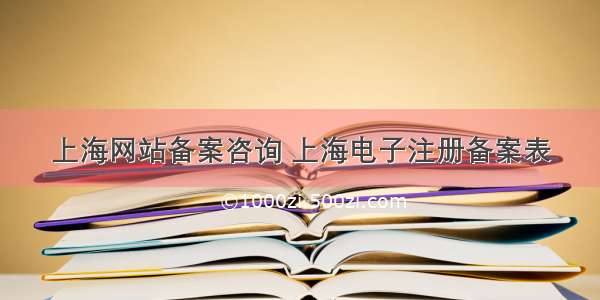 上海网站备案咨询 上海电子注册备案表