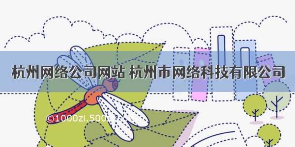 杭州网络公司网站 杭州市网络科技有限公司