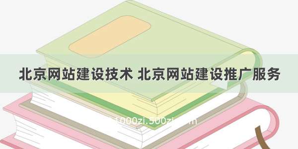 北京网站建设技术 北京网站建设推广服务