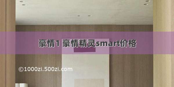 豪情1 豪情精灵smart价格